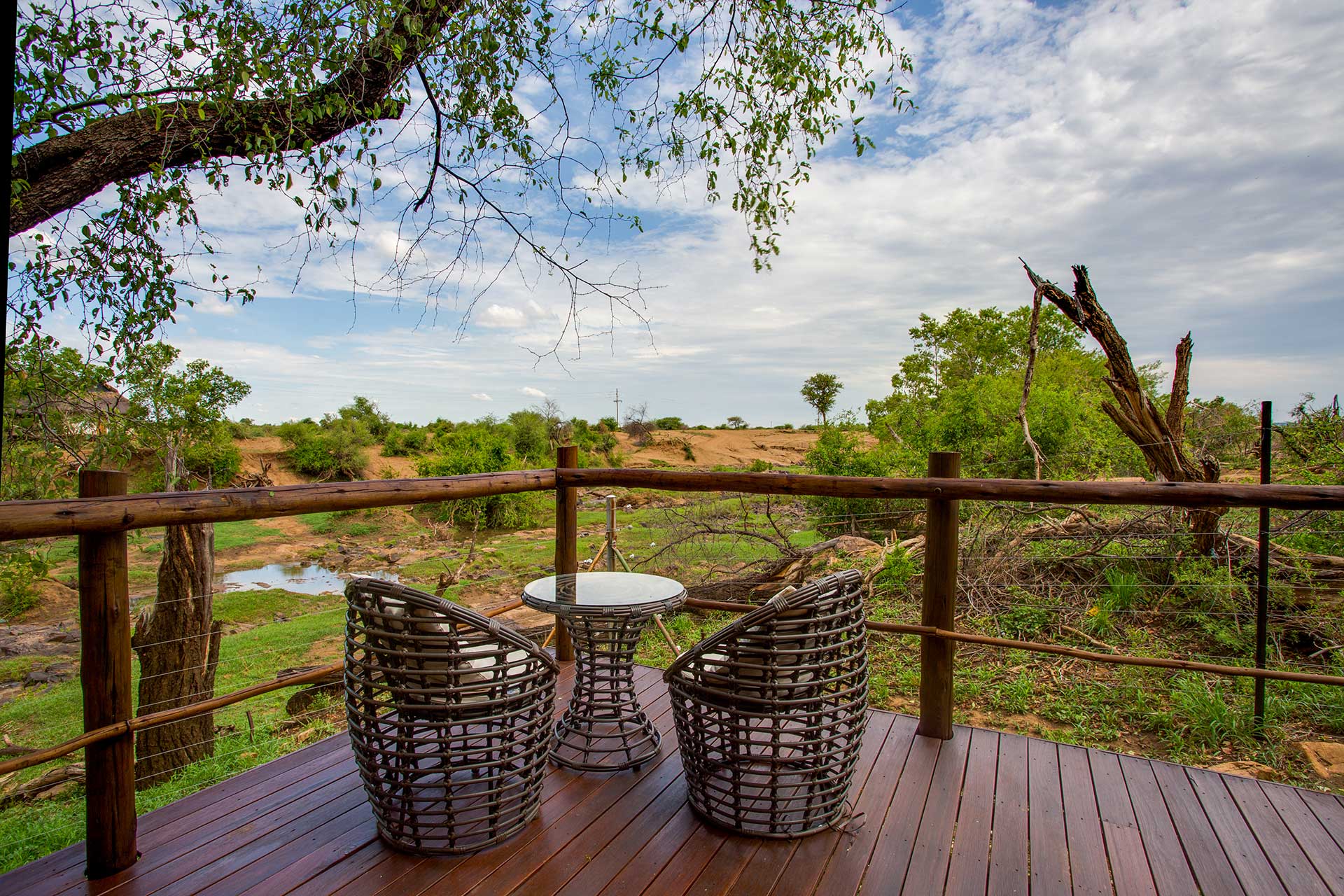 Madikwe River Lodge Madikwe Game Reserve Lodges   Madikwe River Lodge  22 