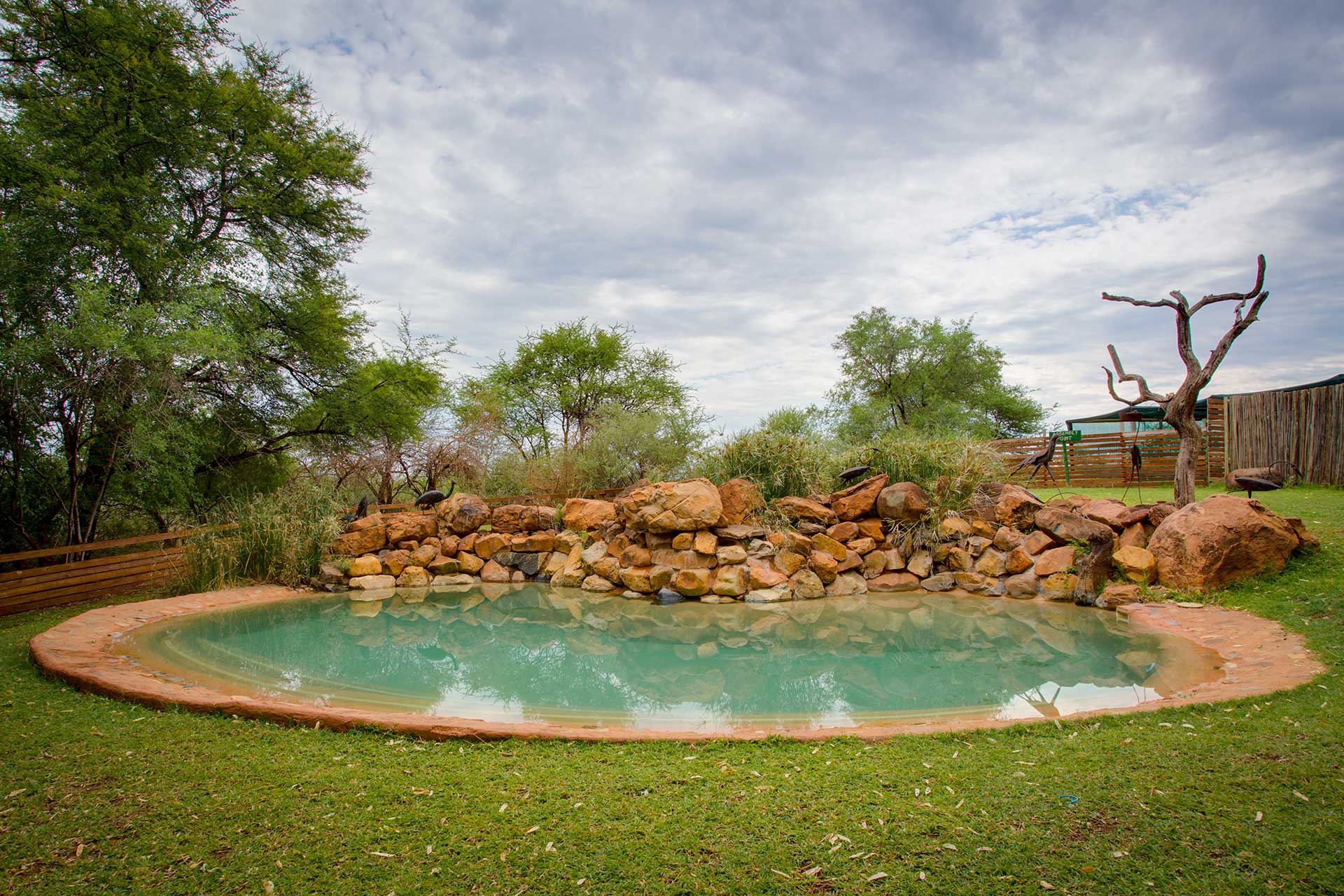 Madikwe River Lodge Madikwe Game Reserve Lodges   Madikwe River Lodge 1 18 