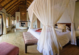 motswiri private safari lodge madikwe game reserve